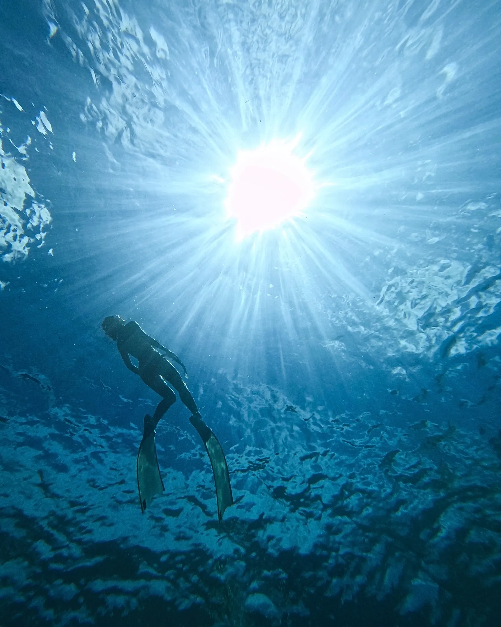 New Heaven Dive School